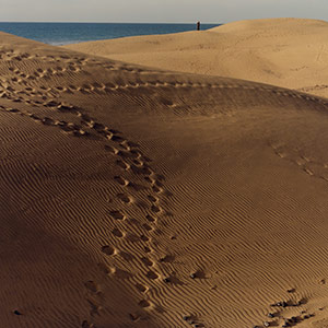 Песчаные дюны в рекламной кампании Alexander McQueen
