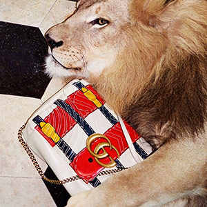 Тигры, львы и жирафы в новой кампании Gucci