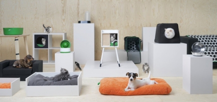 В России появятся товары IKEA для домашних животных