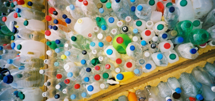 Burberry, Stella McCartney и H&M будут бороться с «пластиковым загрязнением» Земли