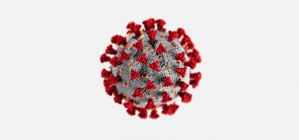 Ученые из США и Китая обнаружили натуральное средство от коронавируса