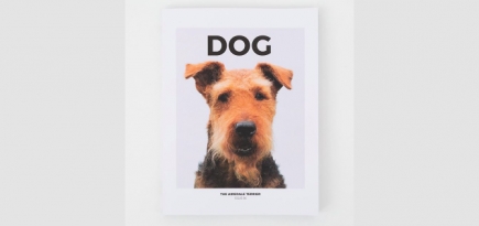 Журнал Dog посвятил новый номер памяти пса Дриса ван Нотена