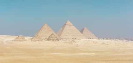 Власти Египта предложили Илону Маску удостовериться, что пирамиды не были построены инопланетянами