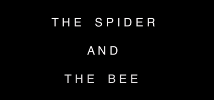 На ютьюб-канале Дэвида Линча появилась короткометражка о пауке и пчеле