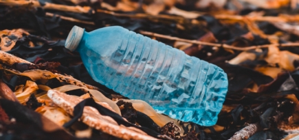 Немецкие ученые разработали биопластик, который разлагается в течение 12 месяцев