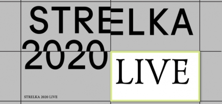 Институт «Стрелка» анонсировал публичную программу Strelka 2020 Live