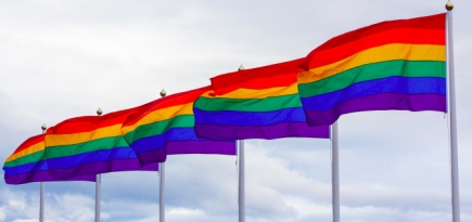 Жители Швейцарии поддержали уголовное наказание за гомофобию