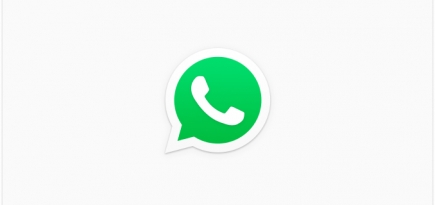 WhatsApp блокирует пользователей за участие в чатах с подозрительными названиями