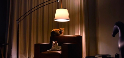 В рекламе светильников Hermès снялись кошки