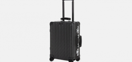 Fendi обновил классическую модель чемоданов Rimowa