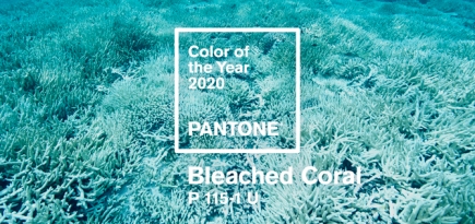 Дизайнеры предложили Pantone выбрать цвет «умирающего коралла» на 2020 год