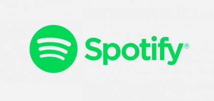 Spotify тестирует собственный аналог сторис