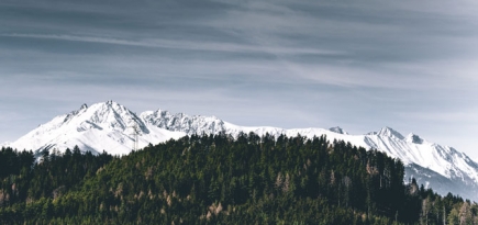Австрия откроет горнолыжные курорты и запретит вечеринки