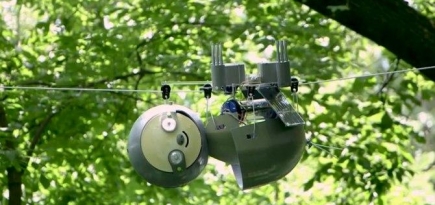В США придумали робота-ленивца для наблюдения за животными и растениями