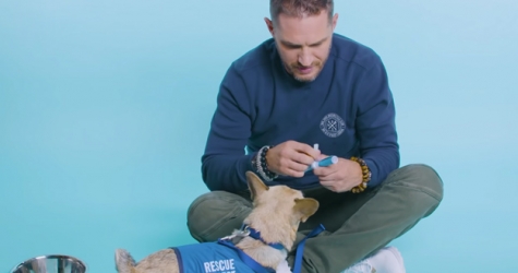 Том Харди записал видеоинтервью в компании собак из приюта