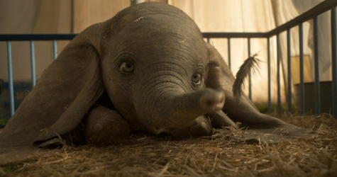 Слонёнок Дамбо парит в облаках в видео Arcade Fire на песню «Baby Mine»