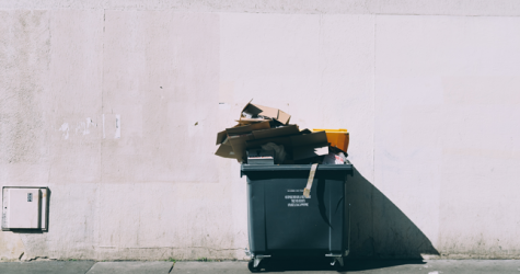 Правительство Москвы узаконит систему раздельного сбора мусора
