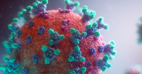 В Чехии обнаружен еще один штамм коронавируса