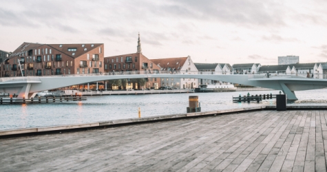 Дания стала первой страной Евросоюза, снявшей все коронавирусные ограничения