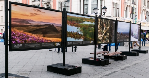 Falconeri и National Geographic открыли уличную выставку о природе России