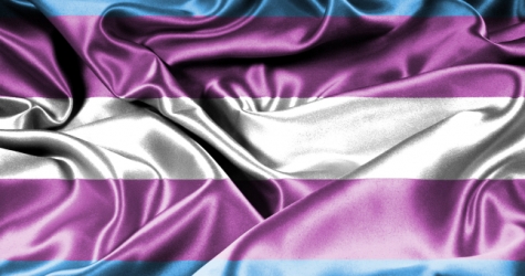 Правительство не одобрило поправки Елены Мизулиной, запрещающие трансгендерам вступать в брак и усыновлять детей
