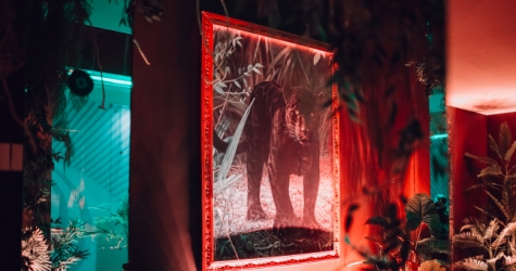 В галереях «Времена года» появилось поп-ап-пространство, вдохновленное джунглями