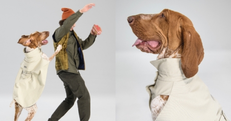 Woolrich представил капсульную коллекцию для собак