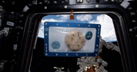 На МКС впервые испекут печенье