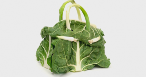 Hermès представил полностью съедобные сумки Birkin из овощей