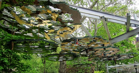 Инсталляция зеркального леса Терезиты Фернандес как повод смотреть вверх