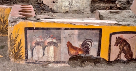 В Помпеях раскопали древний магазин еды и нашли батончик на прилавке