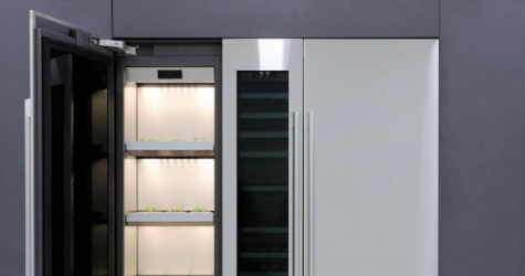 LG разработала шкаф-теплицу для выращивания зелени и овощей дома