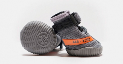 Fresh Pawz выпустил ботинки для собак по мотивам кроссовок Yeezy