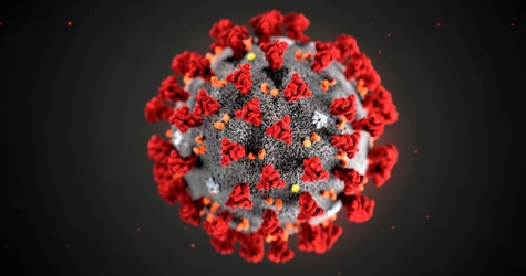 Ученые раскритиковали статью о российской вакцине против коронавируса