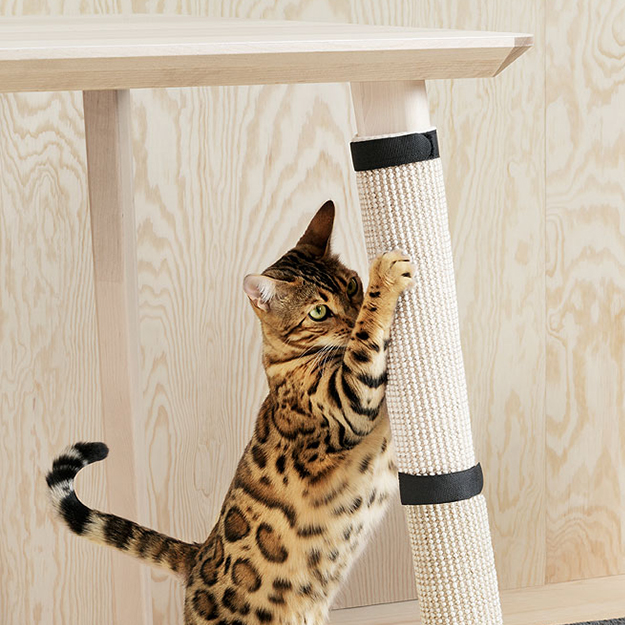 IKEA сделала мебель для собак и кошек