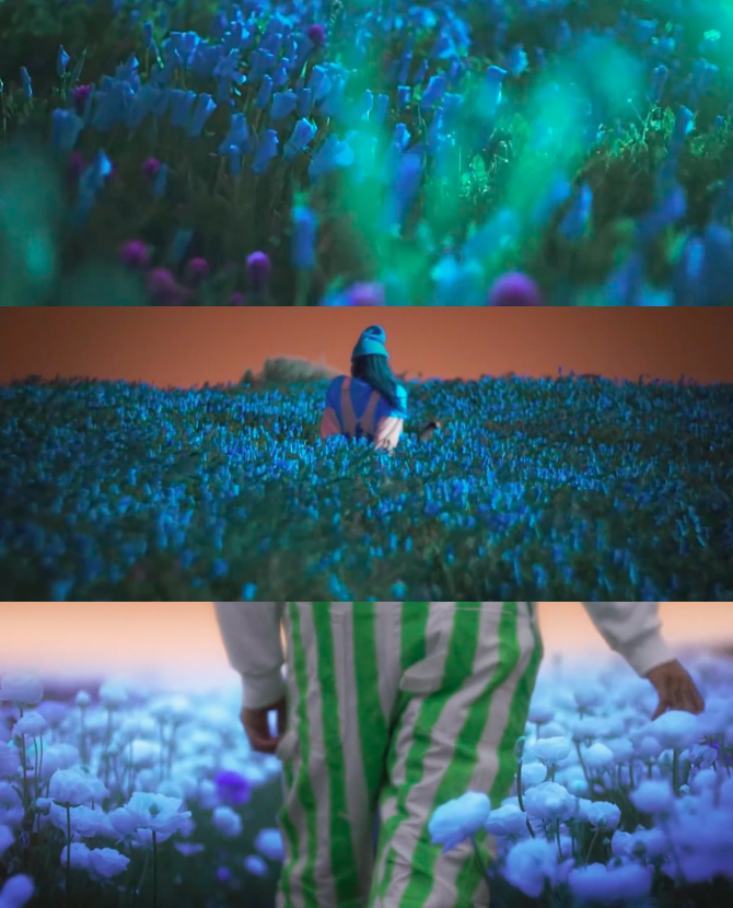 Билли Айлиш гуляет по полю с синими цветам в клипе на на песню «Everything I Wanted»