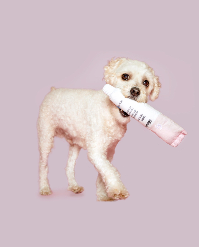 Glossier выпустил игрушки для собак в виде бьюти-средств
