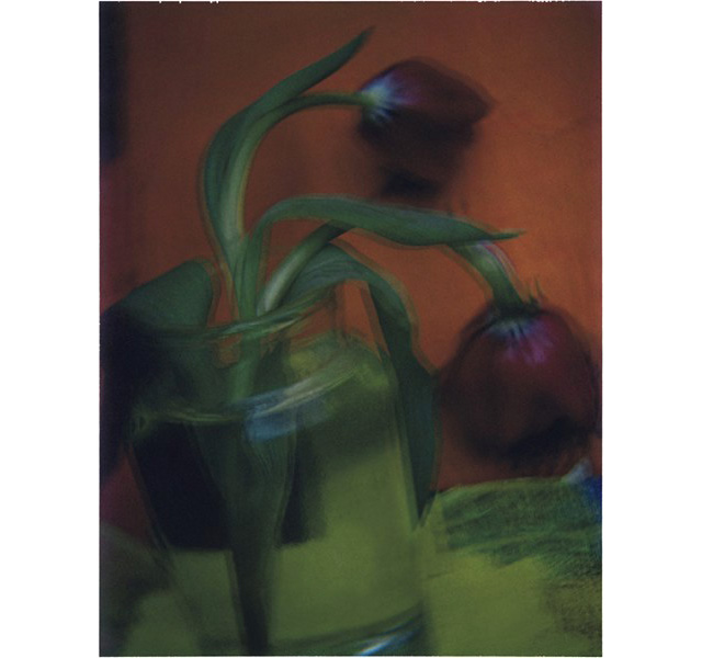 Выставка недели: \"О цвете\" — снимки Сары Мун в Лондоне