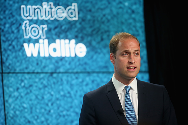 Дэвид Бекхэм и принц Уильям призвали бороться с браконьерством