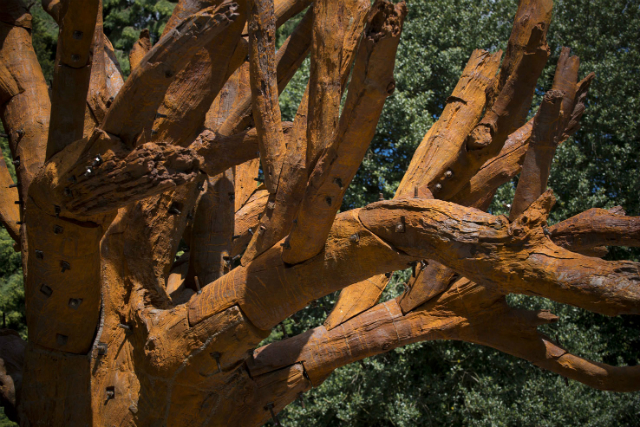 \"Железное дерево\" Ай Вэйвэя появится в парке скульптур Фредерик Мейжер