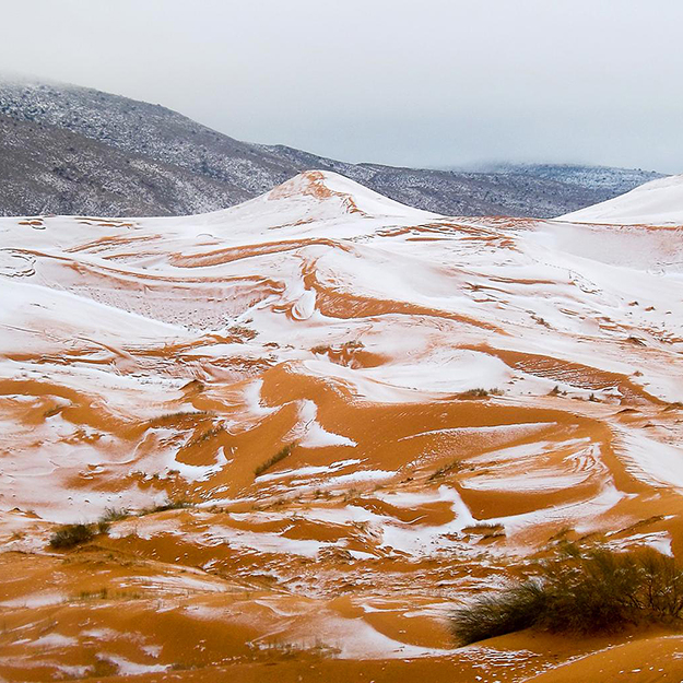 Фото дня: в пустыне Сахара выпал снег