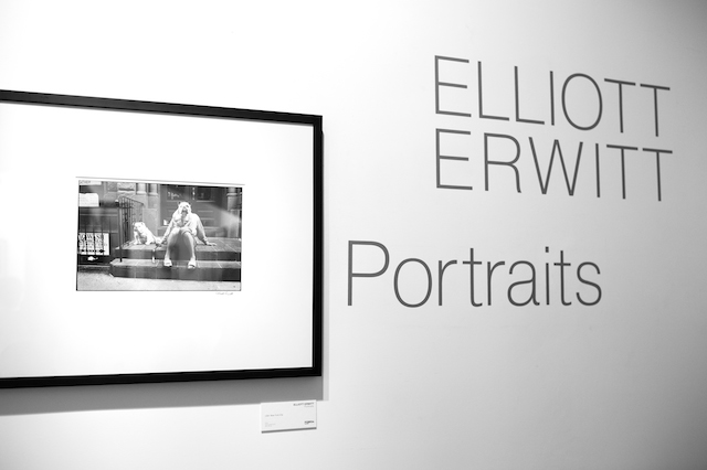 Открытие выставки \"Портреты\" Эллиотта Эрвитта в Pobeda Gallery