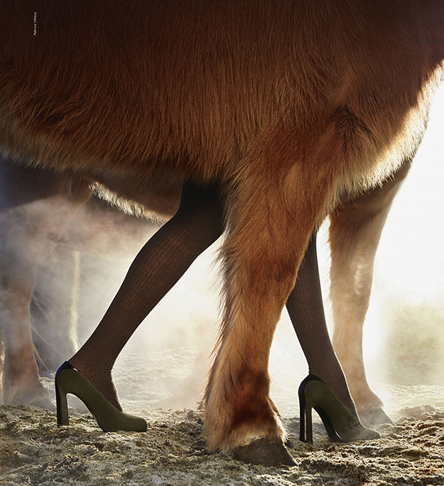Вновь на коне: рекламная кампания Hermès, осень-зима 2014