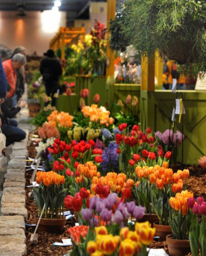 В Филадельфии стартует крупнейшая выставка цветов