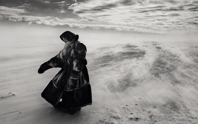 \"Соль Земли\", 2014. Последняя работа Вима Вендерса, получившая специальный приз жюри на последнем Каннском кинофестивале. Документальная кинолента иллюстрирует работу бразильского фотографа Себастьяна Сальгадо.