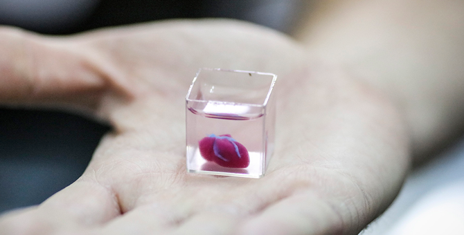 На 3D-принтере впервые напечатали живое сердце